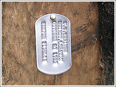 Dog Tag